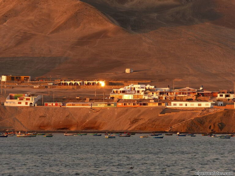 playa tortugas ancash 010